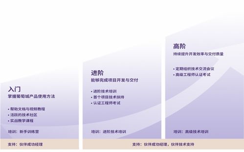 賦能伙伴 助力騰飛 2021年活字格進階技術(shù)培訓圓滿結(jié)束