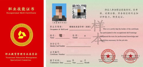 婚姻家庭指導(dǎo)師 心理咨詢領(lǐng)域的朝陽職業(yè)